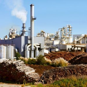Paper Mill